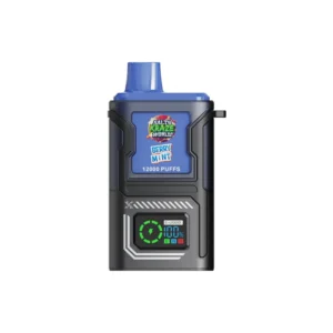 Home berry mint salty mega box disposable vape 28.5mg/ml